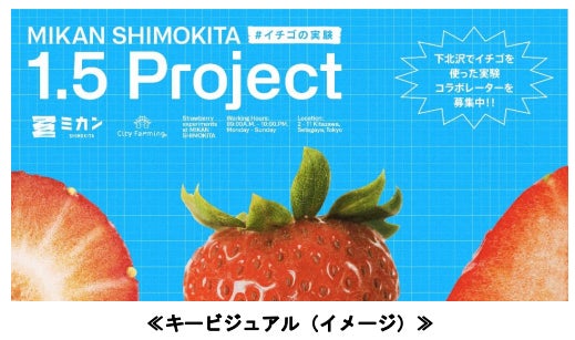 株式会社Plumeria 広島県竹原市の耕作放棄地再生活動の一環として、「柑橘の苗木オーナー制度」をソーシャルクラウドファンディング For Goodで募集開始