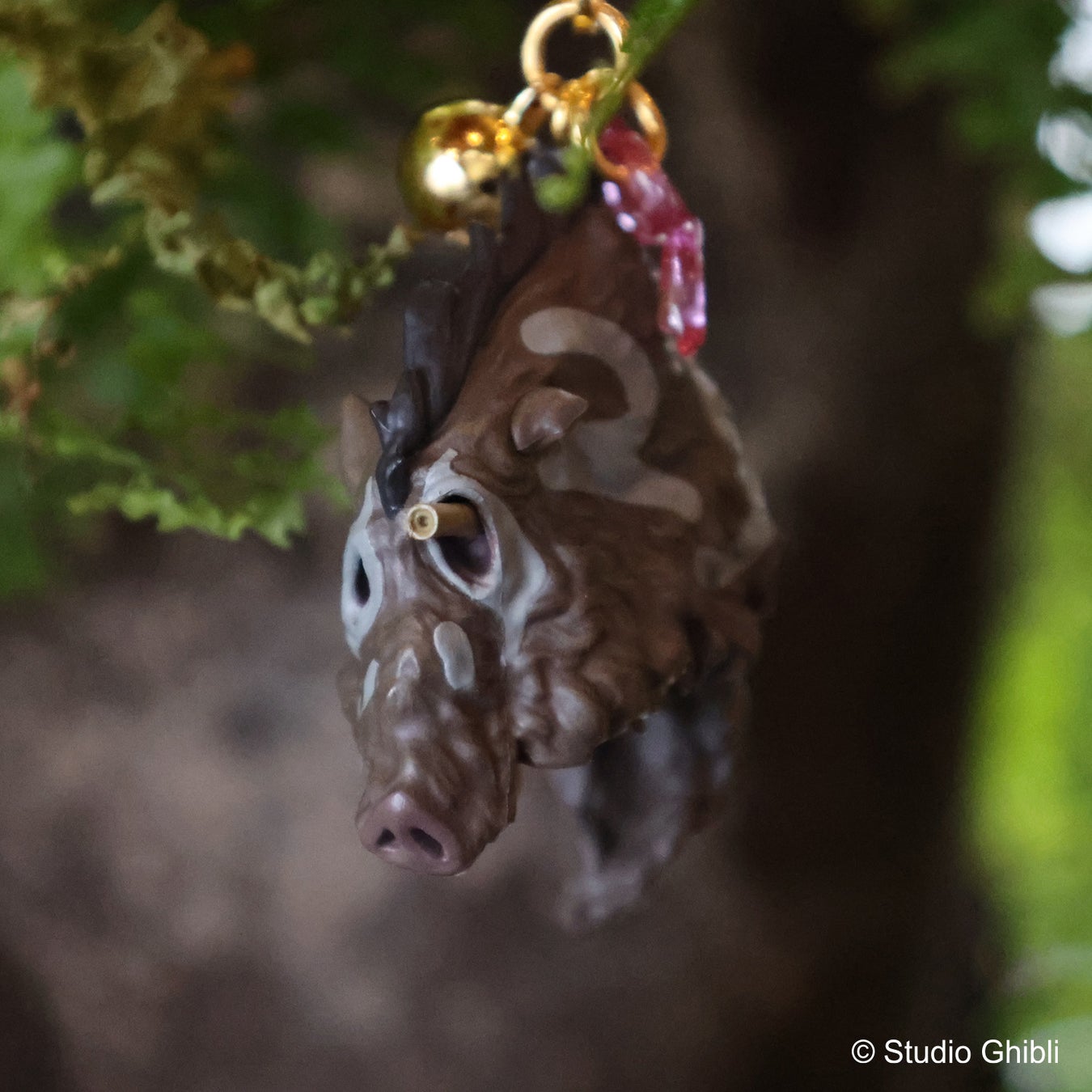 ※正面イメージ