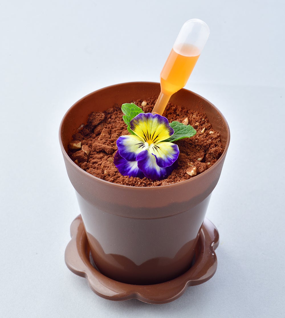 ※画像はイメージです。