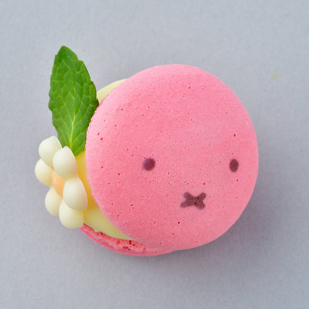 ※画像はイメージです。