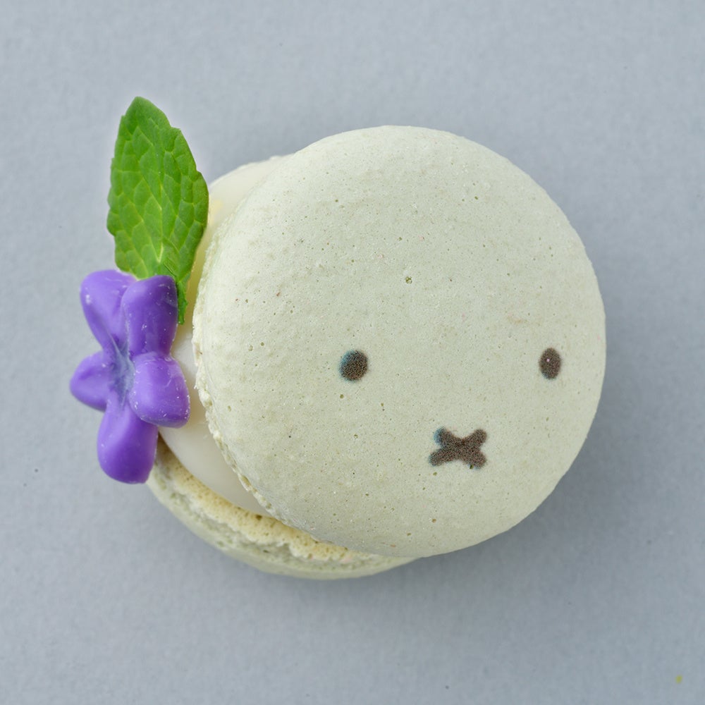 ※画像はイメージです。