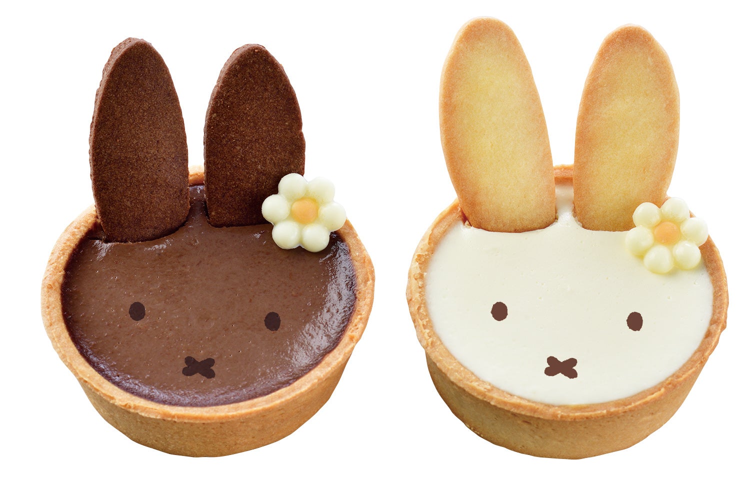 ※画像はイメージです