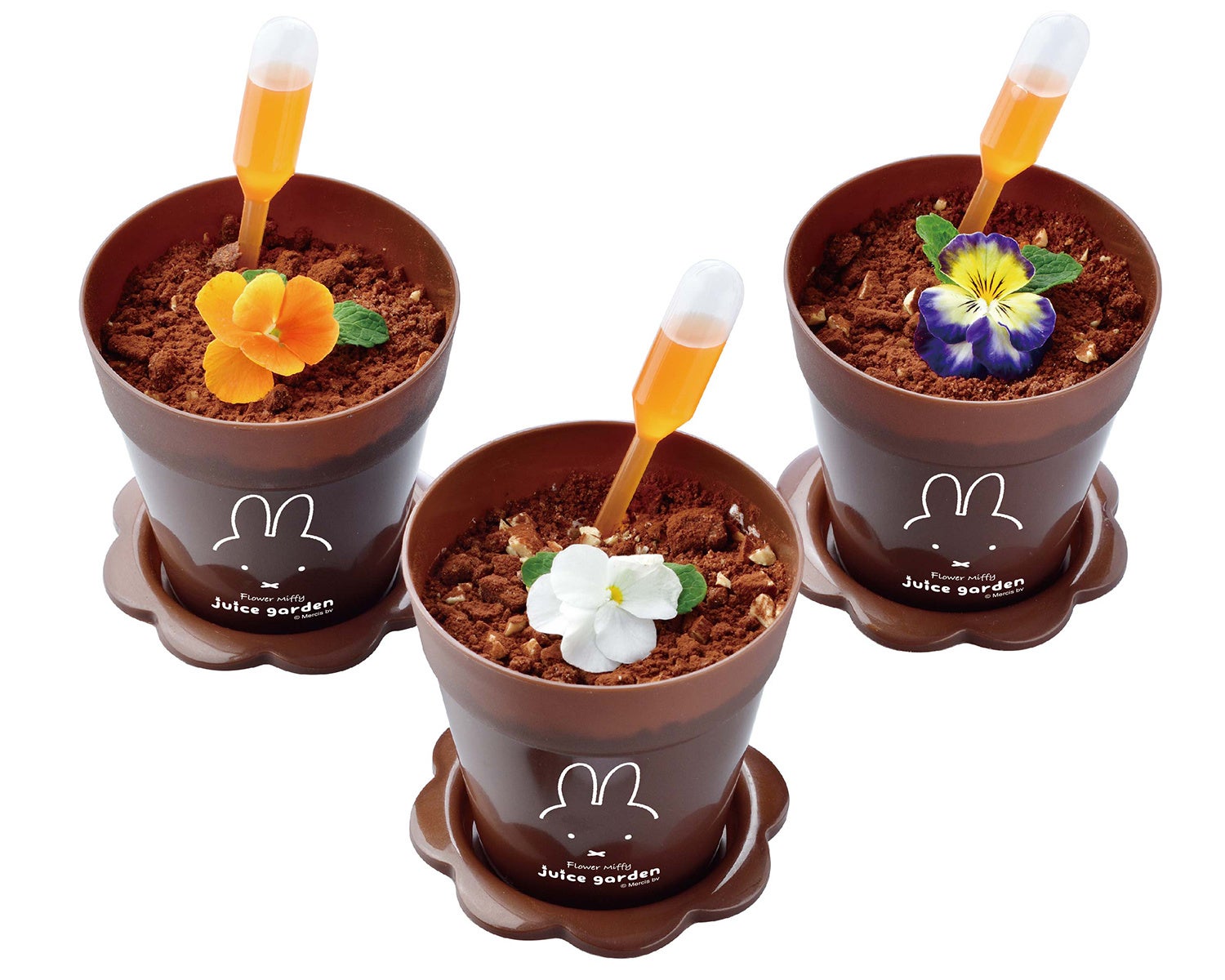 ※画像はイメージです