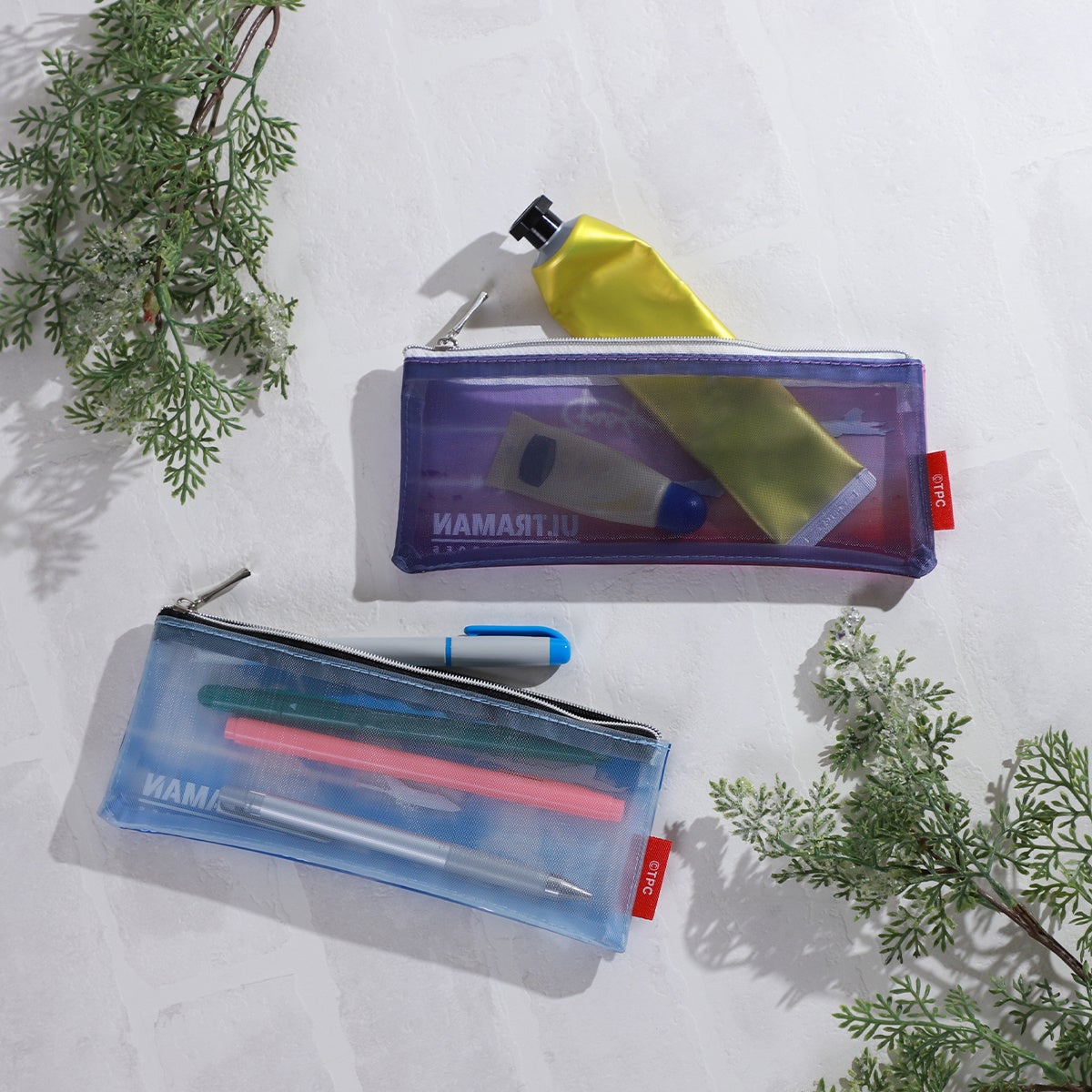 ※背面イメージ