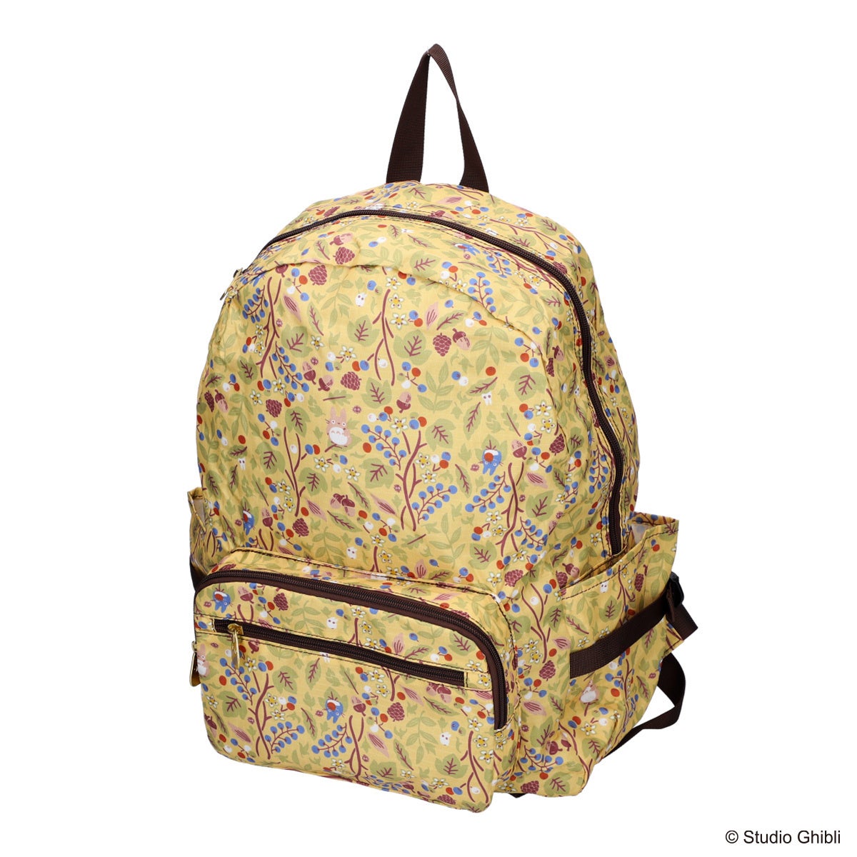 ↑コンパクトバックパック