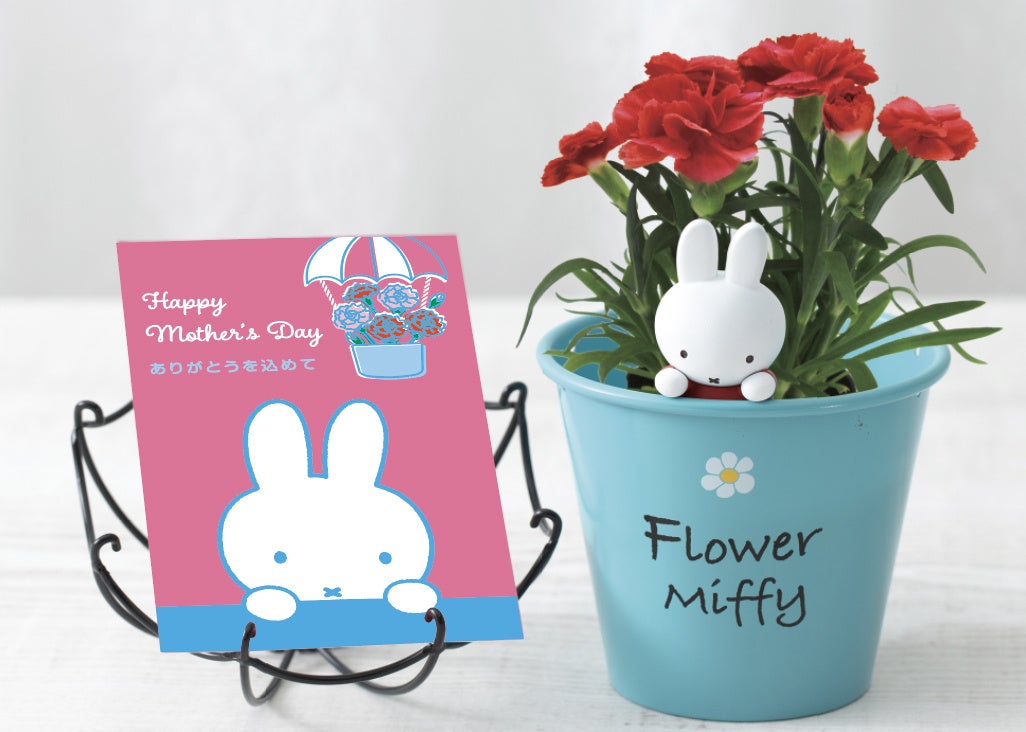 セットイメージ