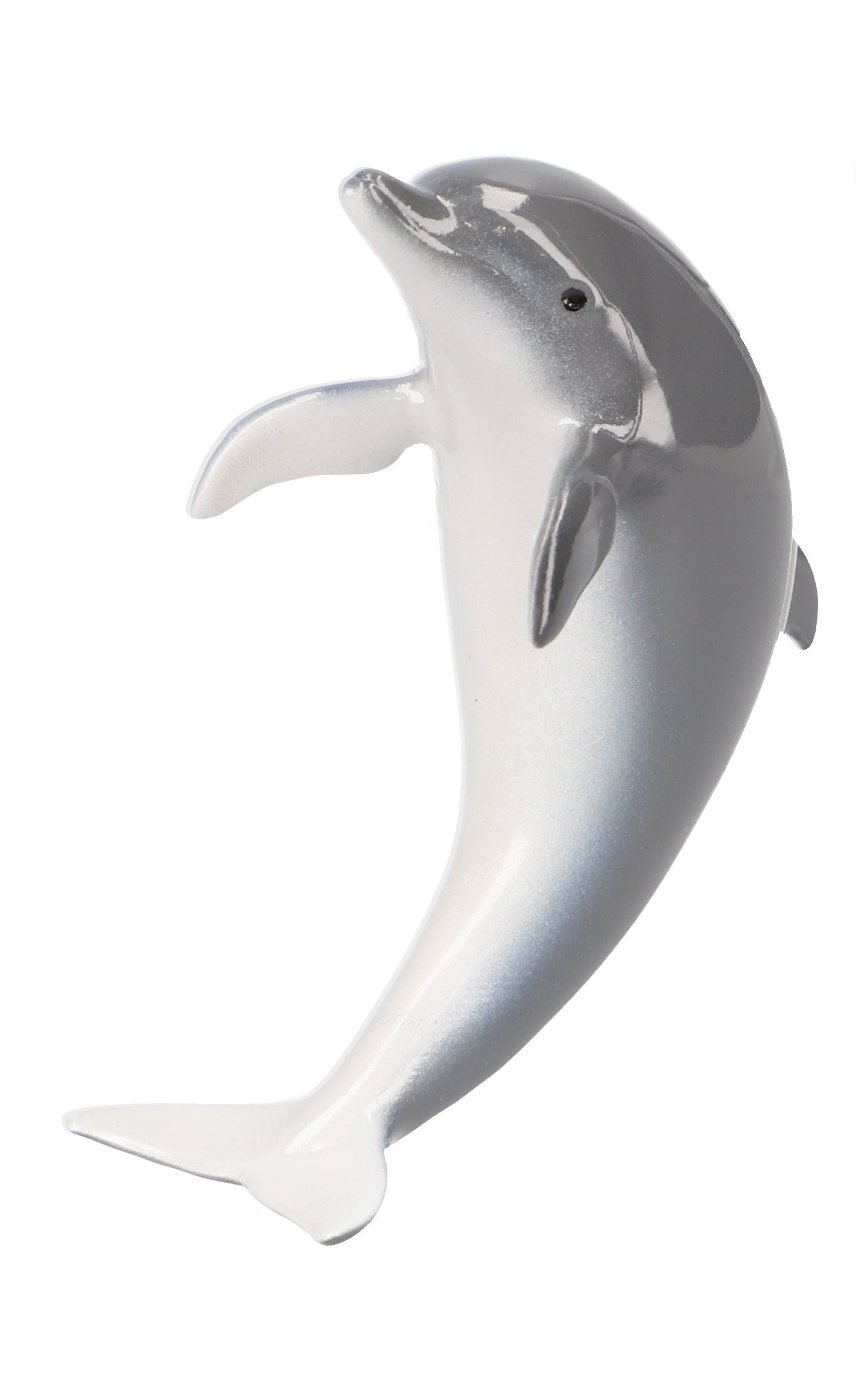 ベイビーイルカ