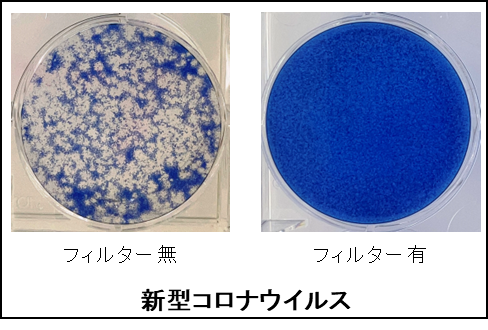 捕集溶液によるウイルス感染価測定（１）