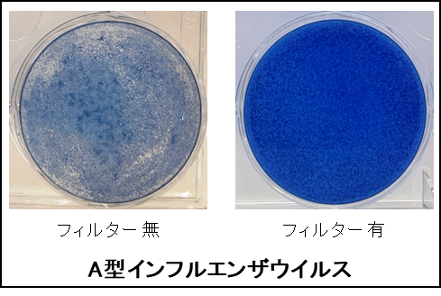 捕集溶液によるウイルス感染価測定（２）
