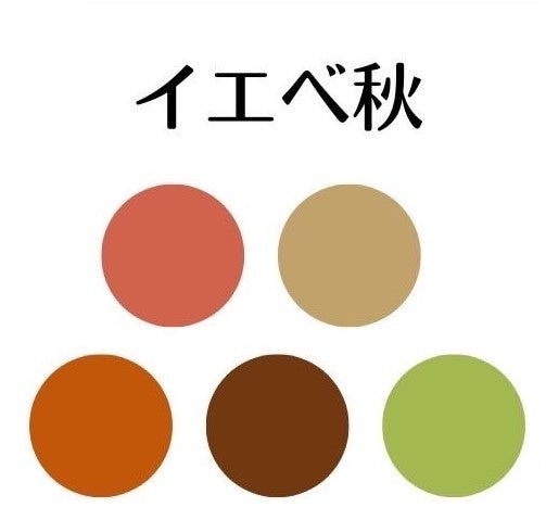 @mayumi.sekiguchi.color