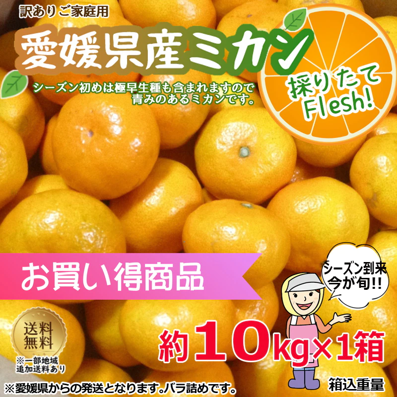 愛媛県 極早生みかん 柑橘 15kg