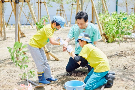 植樹のようす
