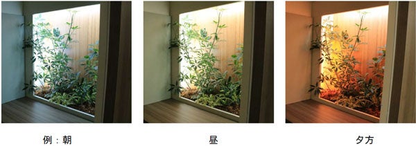 【「バイオフィリックウィンドウ」の植栽と調光調色LED照明 色の変化のようす】