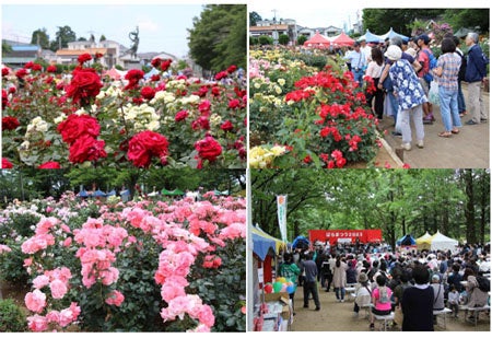 ※写真は過去の様子（写真提供：さいたま観光国際協会）