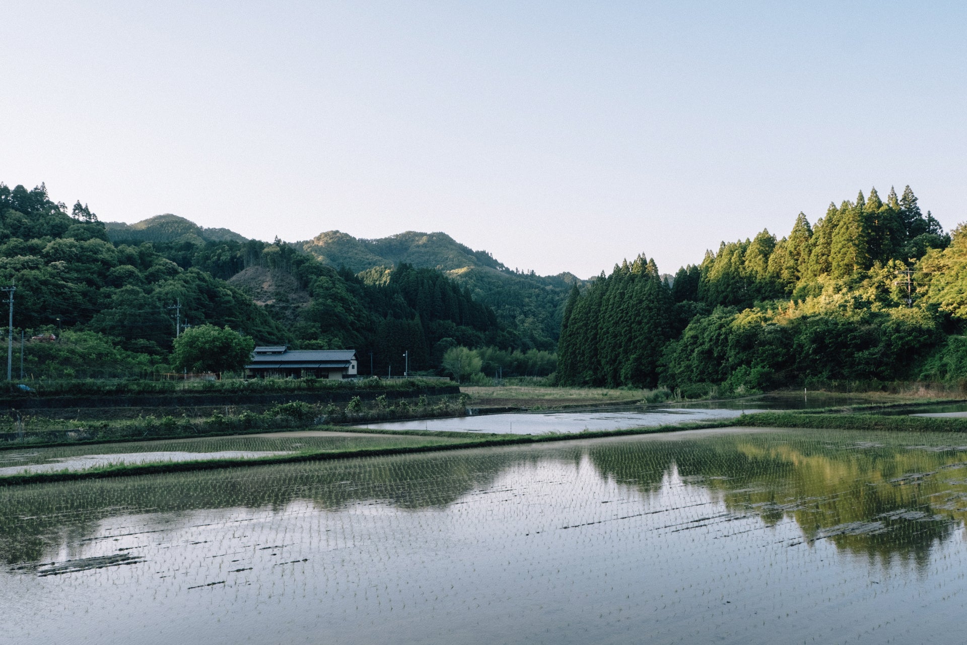 水田と大自然に囲まれた生産工場周辺の風景