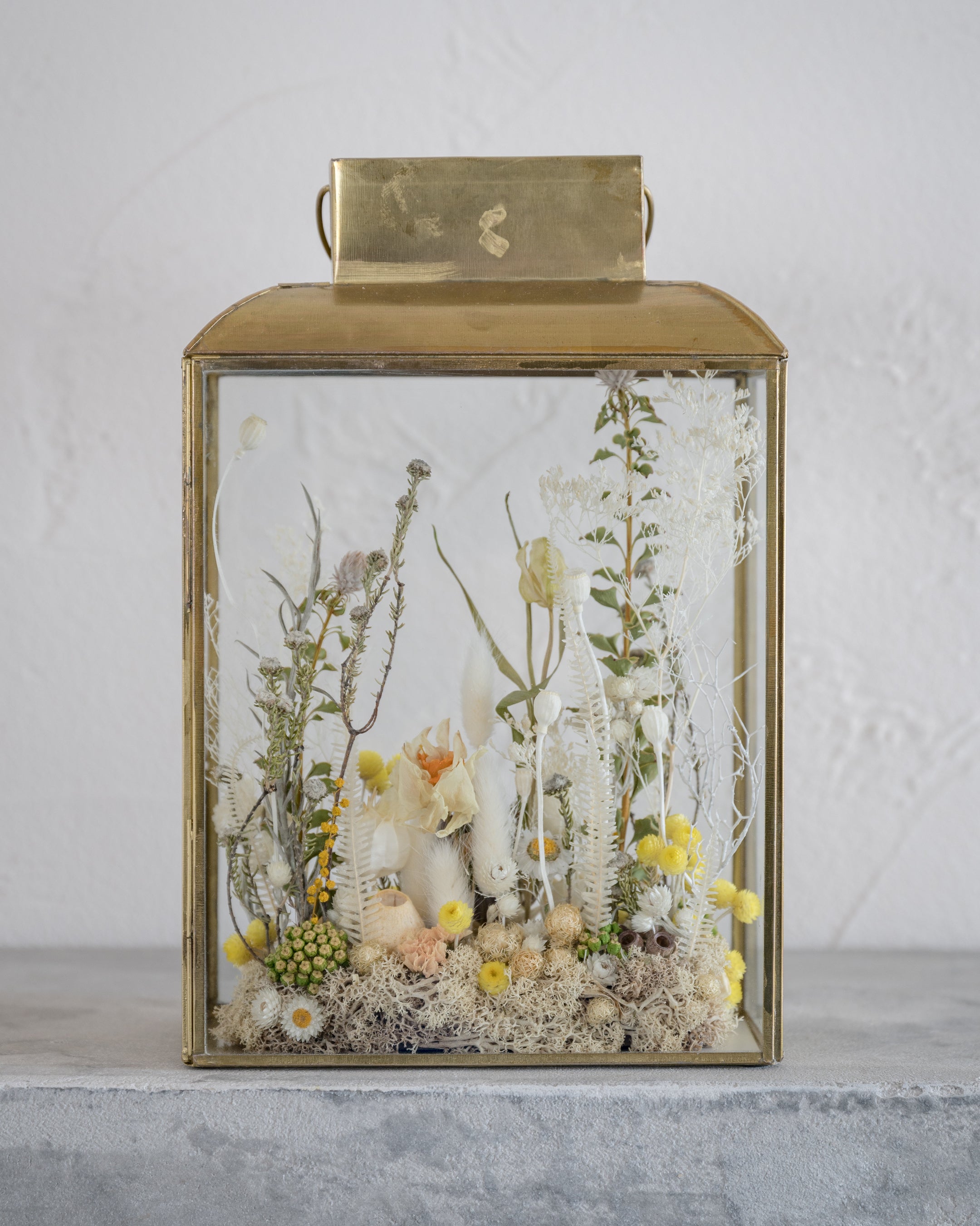 絵画のような、ランタンテラリウム。