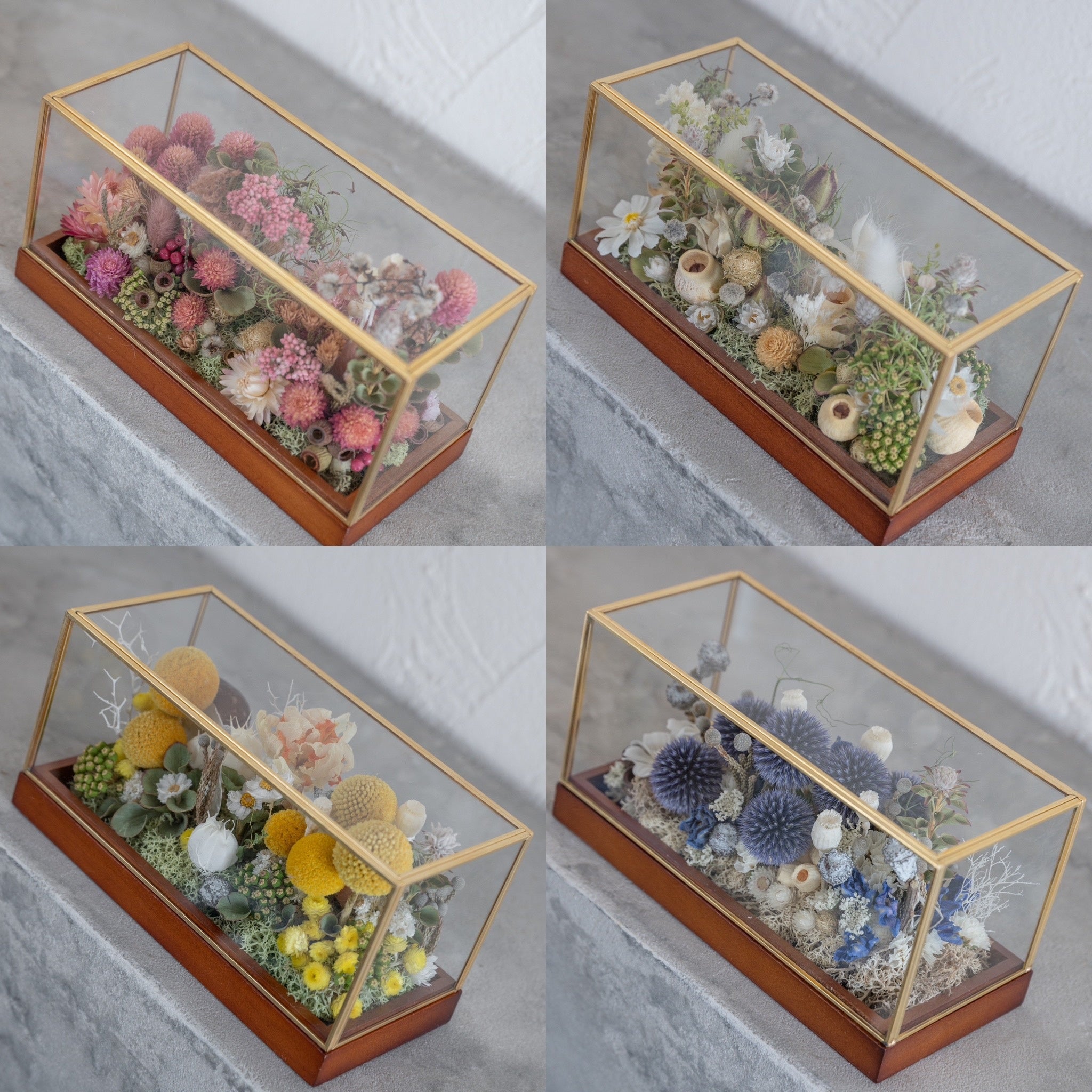 ガラスBOXテラリウム