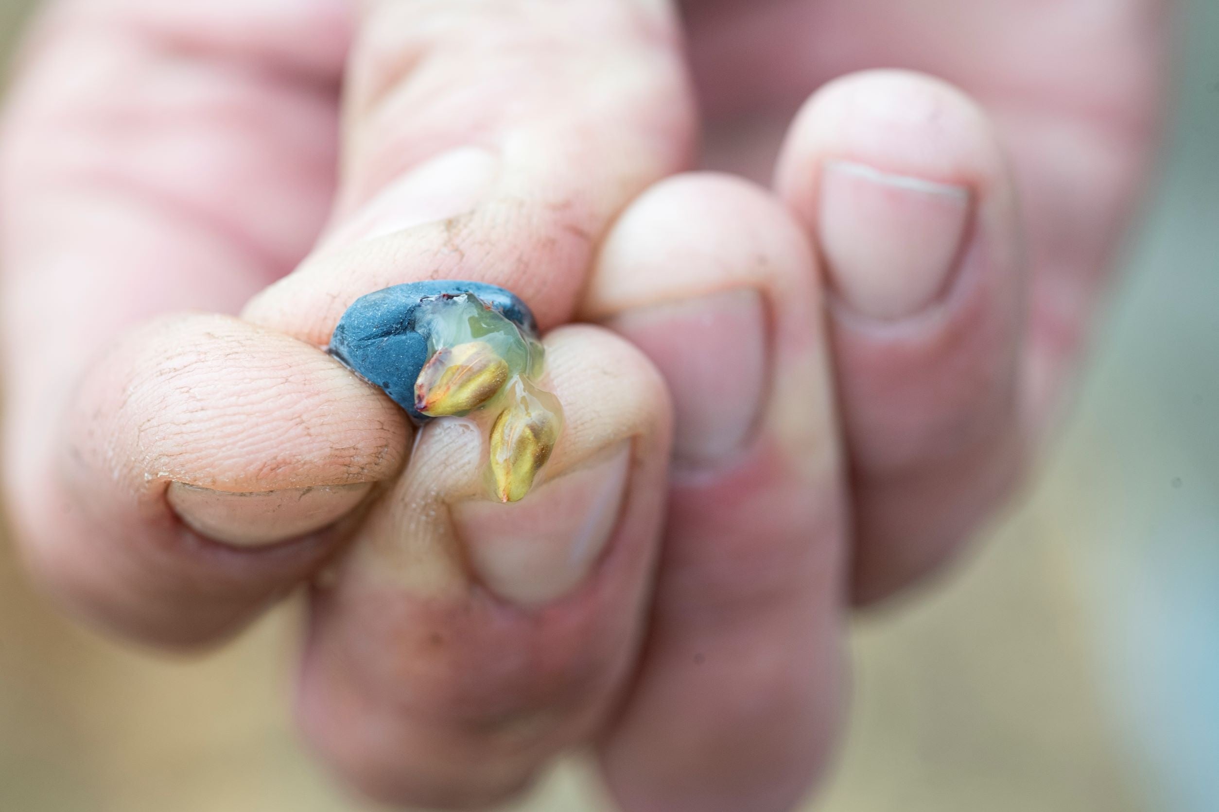 ©BIVB／Michel Joly