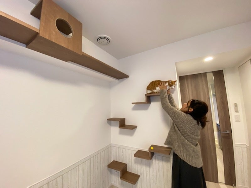 「ベルファース馬込」キャットウォーク・ステップ