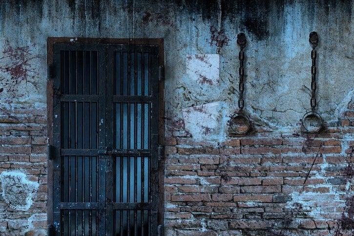 客室の壁にも謎解きのヒントやホラーストーリーの場面が隠されている（イメージ）