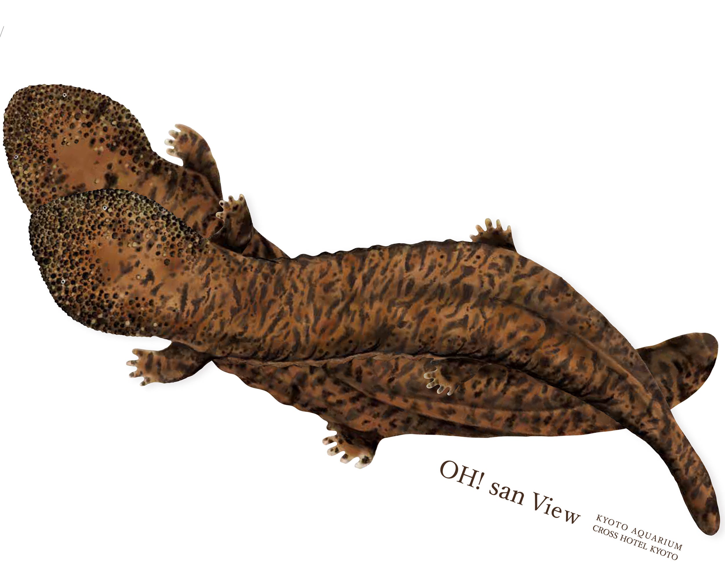 選べるお土産②オリジナルのウォールステッカー（イメージ）