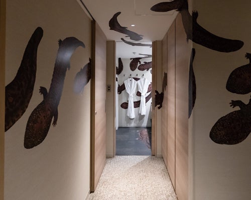 客室内いたるところにオオサンショウウオが(イメージ)