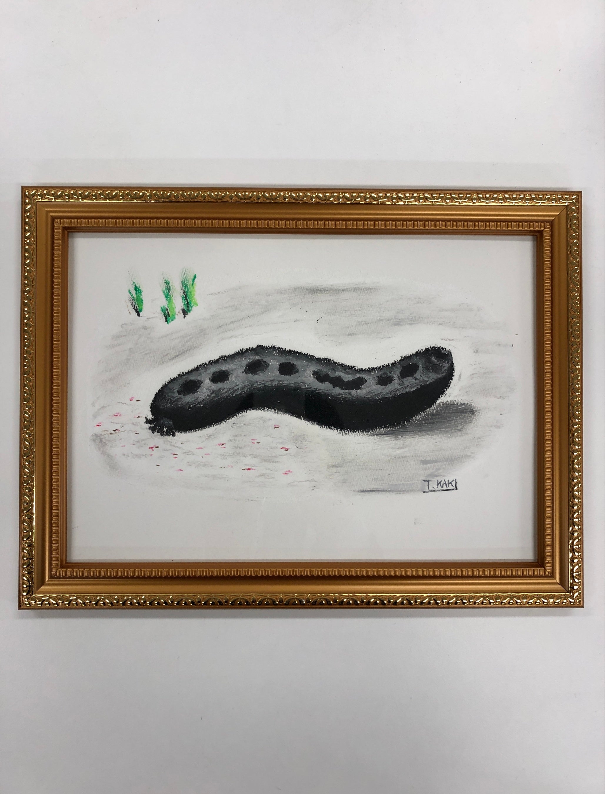 「クロナマコの絵」