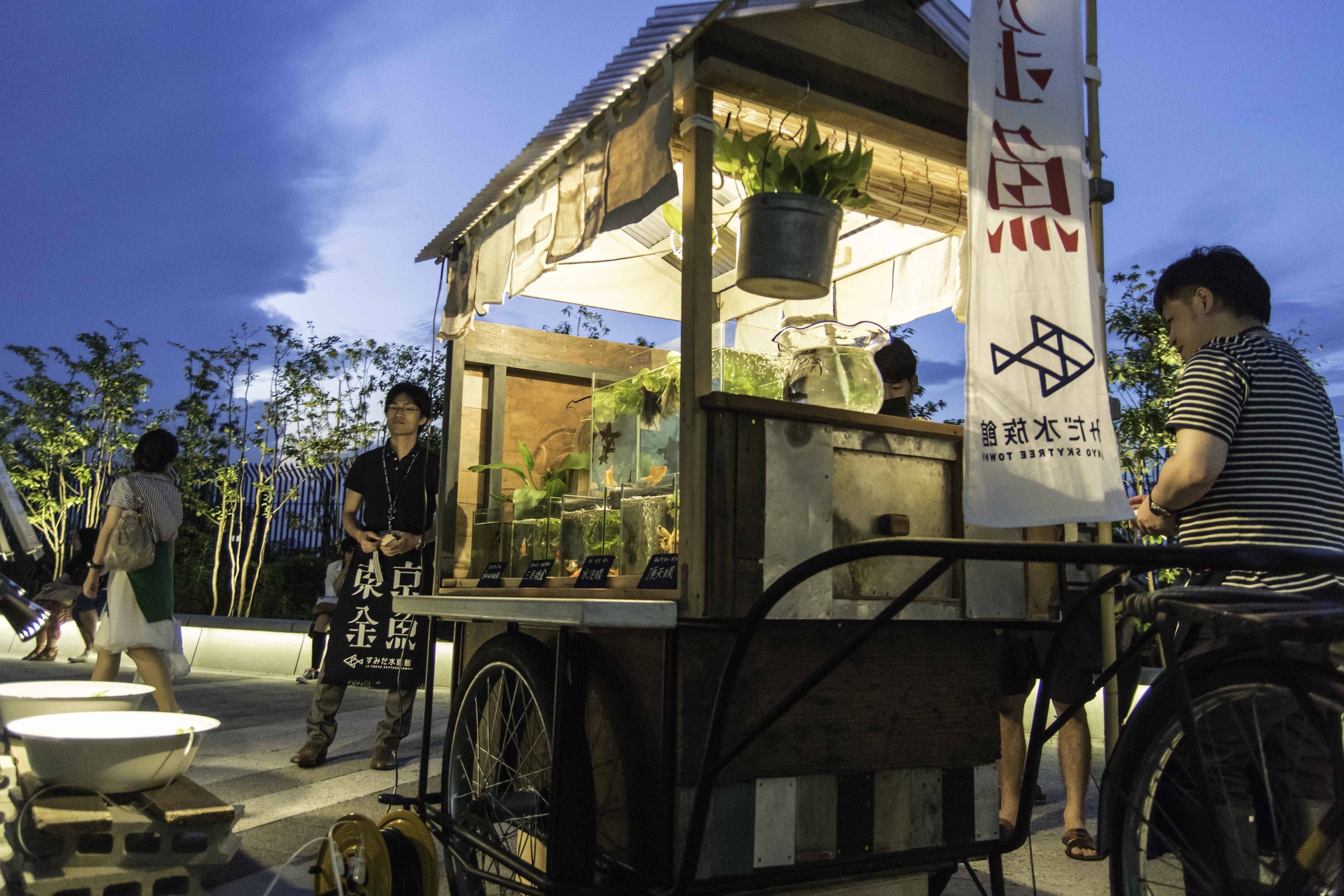 東京金魚プロジェクトのようす