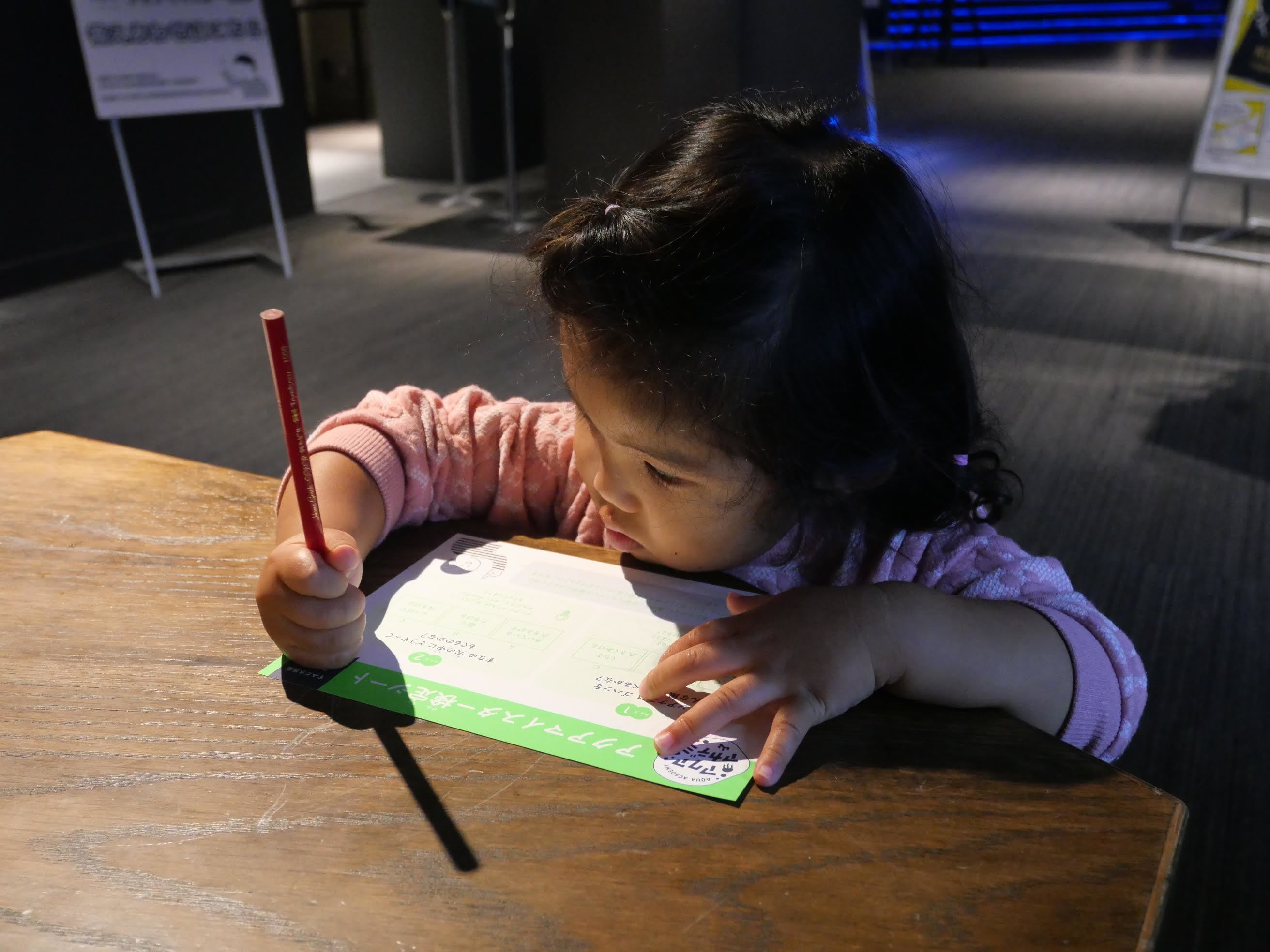 体験プログラム（イメージ）