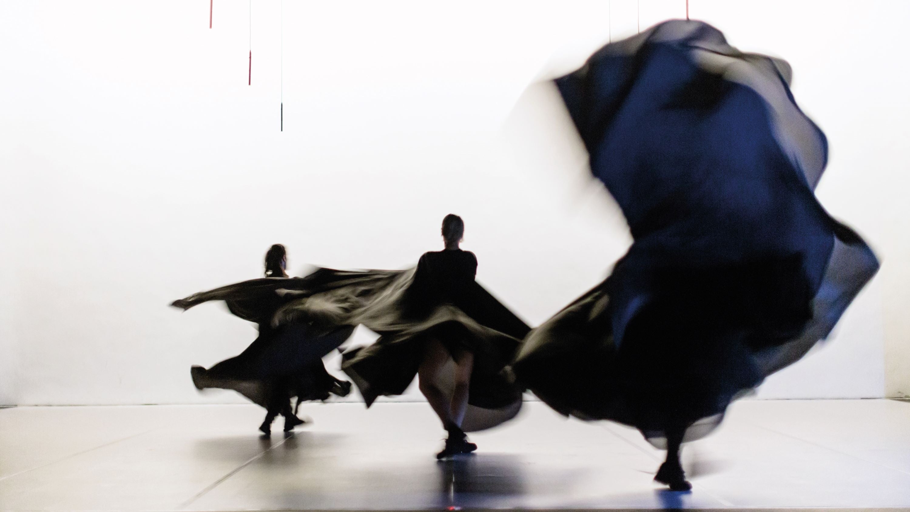 Bombyx(c)Eric Hong (7)