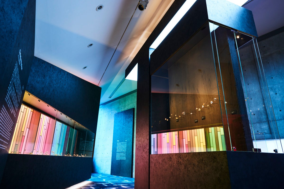 「メンズ リング イヴ・ガストゥ コレクション」エキシビション