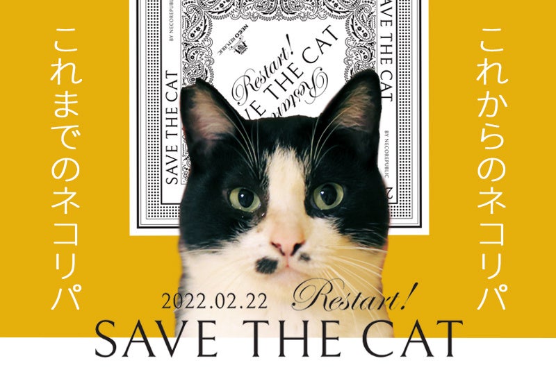ネコ　※専用期限8月16日中です。 視聴するだけで猫助け！？ネコリパ史上最大級のオンライン譲渡会