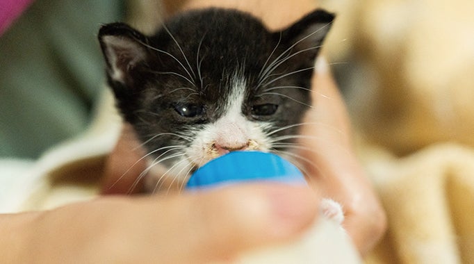 0cdwr7y3dc3ffm 0cdwr7y3dc3ffm