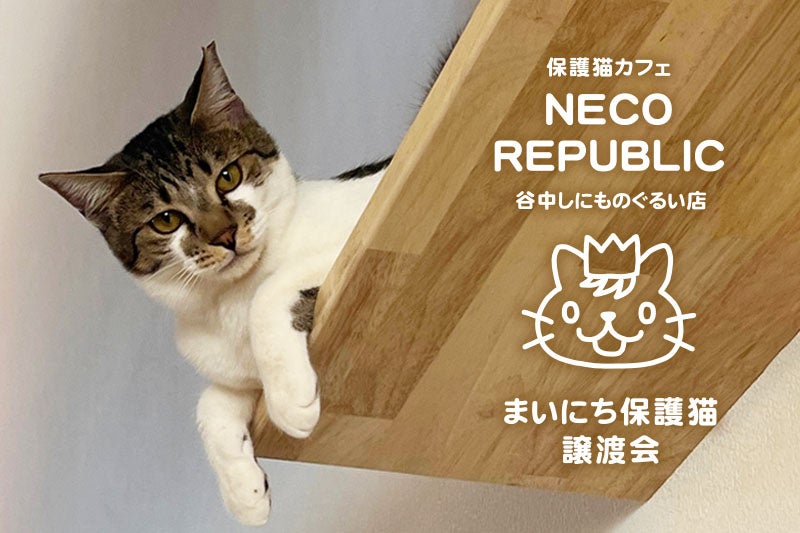 東京谷中 しにものぐるい店