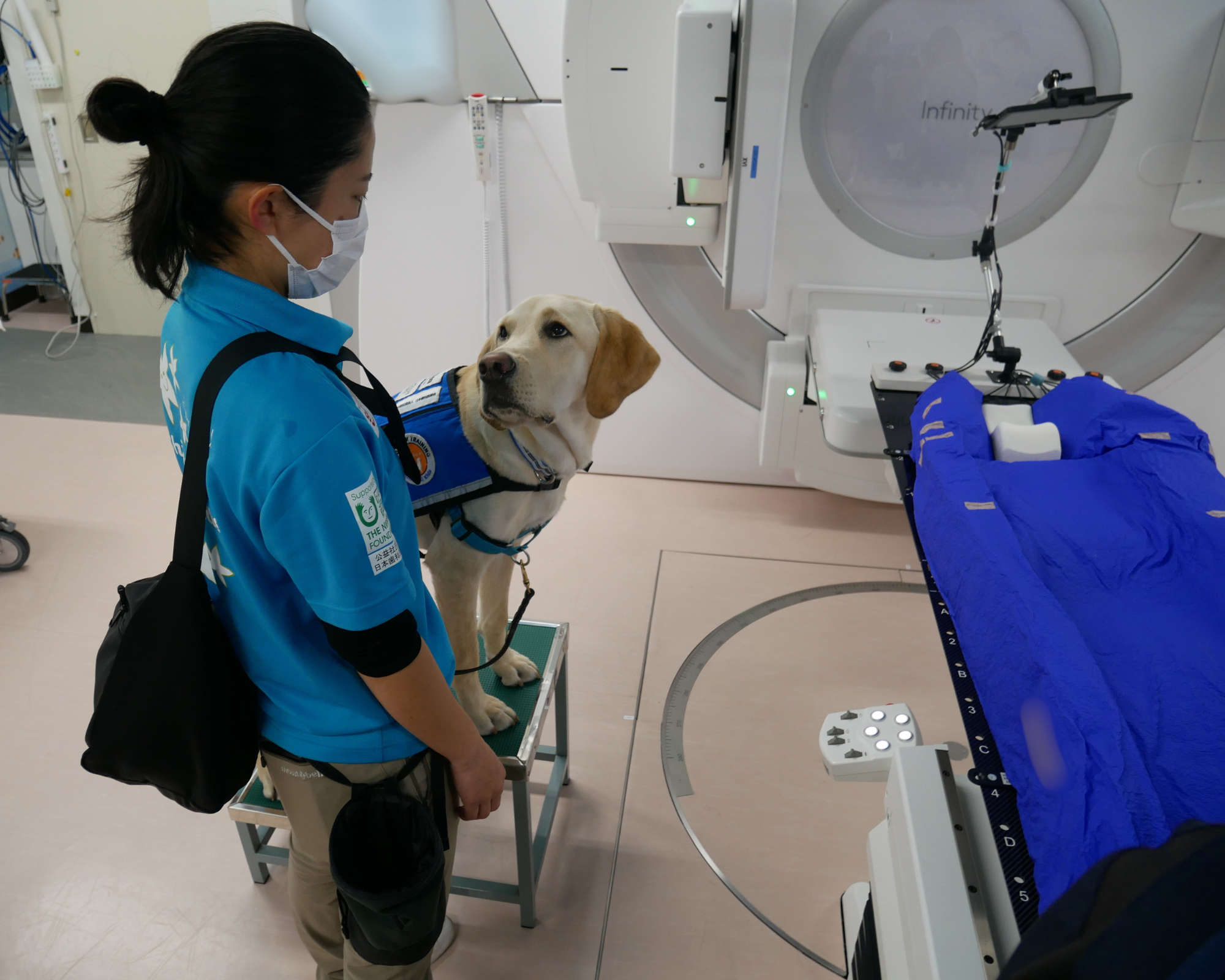 本格的な実践トレーニングとして、放射線治療同行に臨むトミー。ベッドに寝るお子さんと顔が合わせやすいように、台に乗るトレーニングをしています