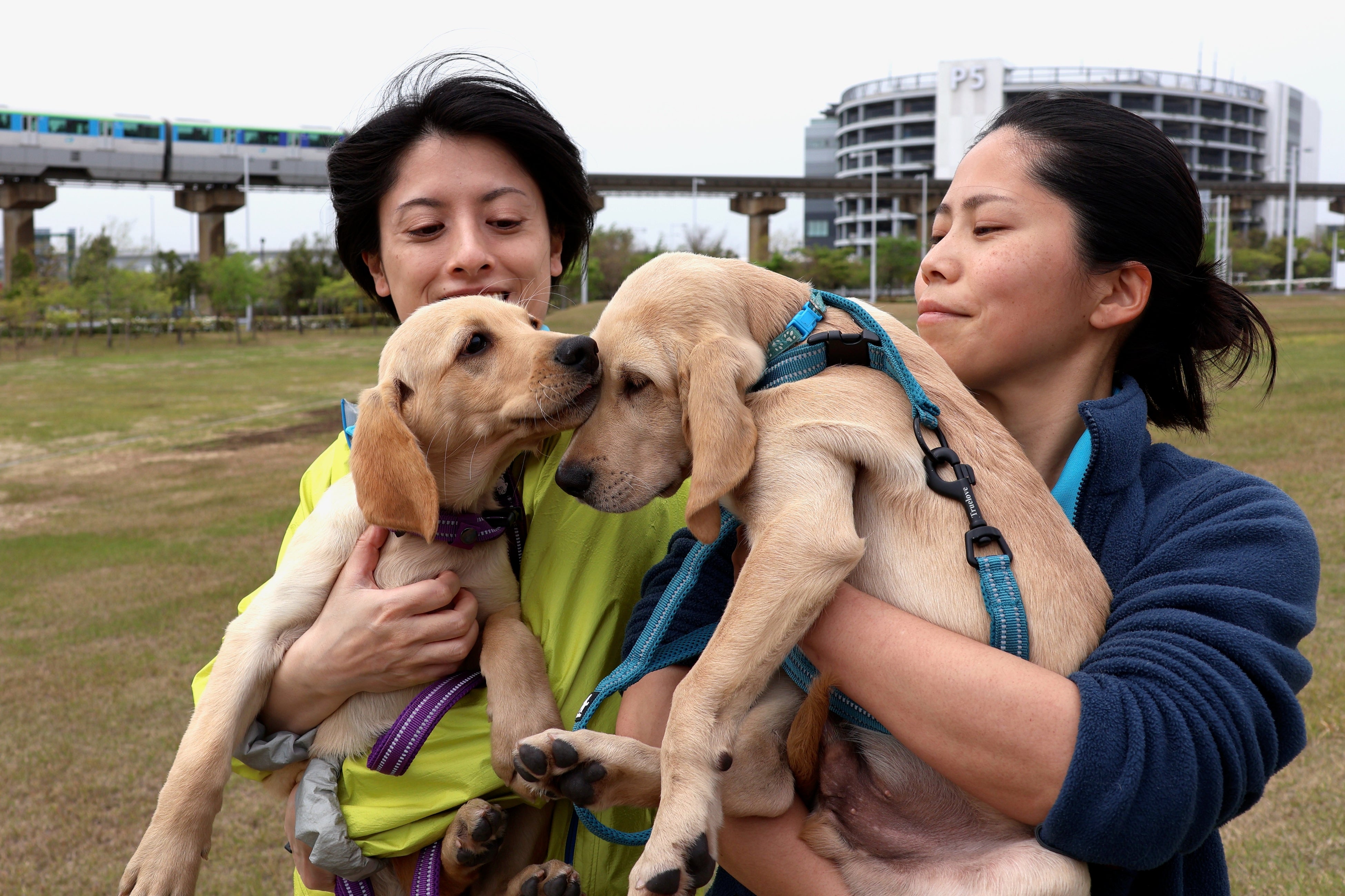 羽田空港に到着した直後の様子の、ミコ（左）とトミー（右）