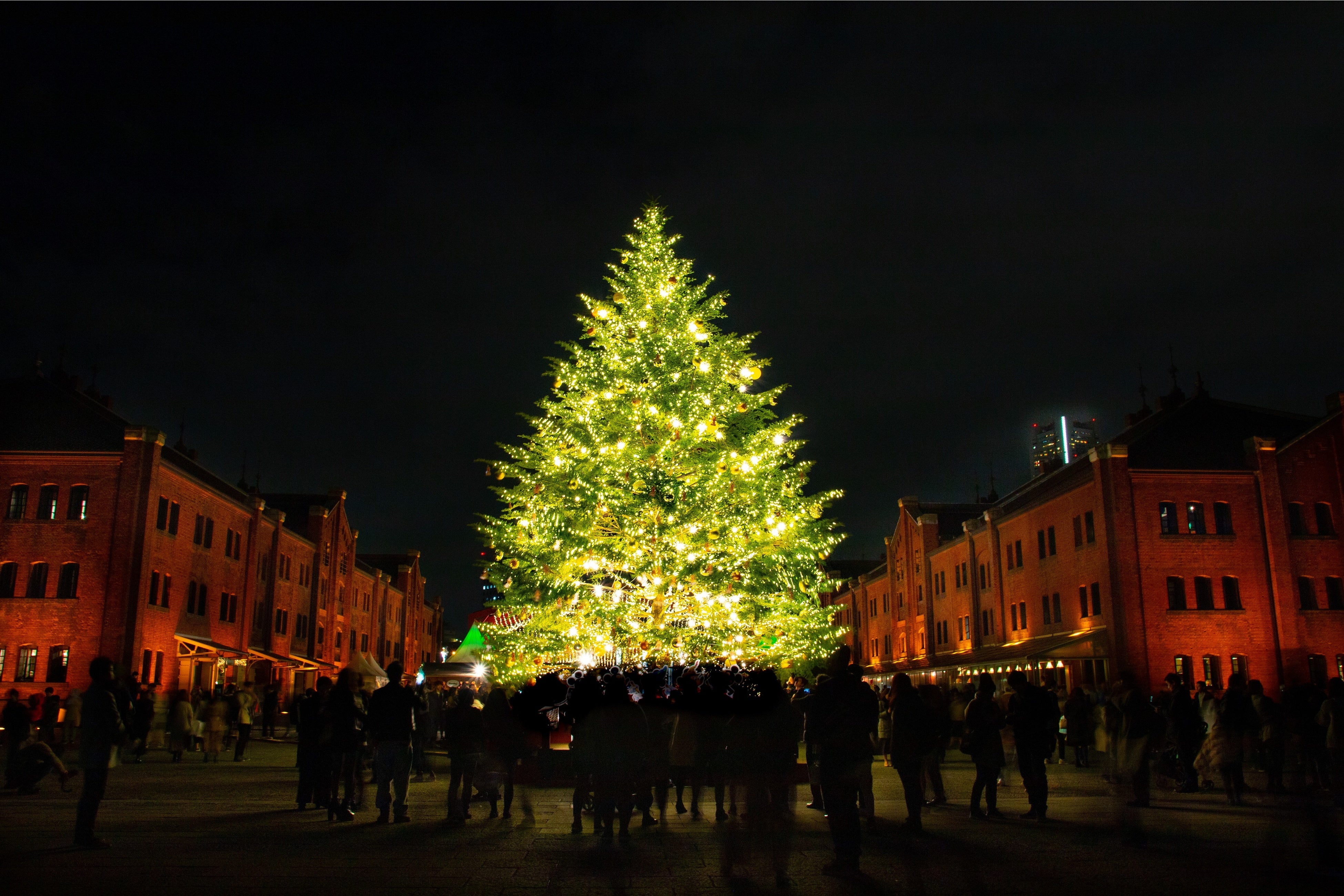 Christmas Market in 横浜赤レンガ倉庫