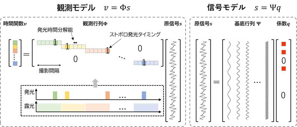 開発した計測手法の信号モデル