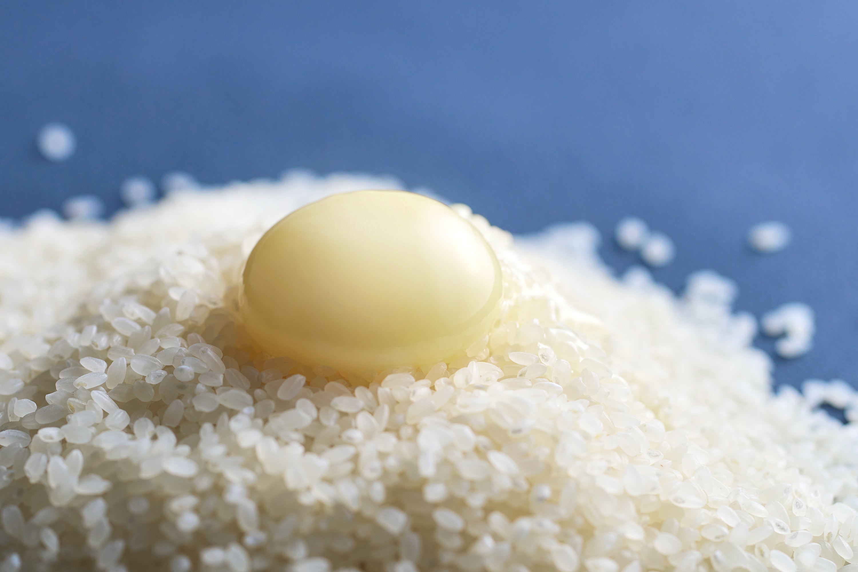 白い黄身の卵「玄米タマゴ」