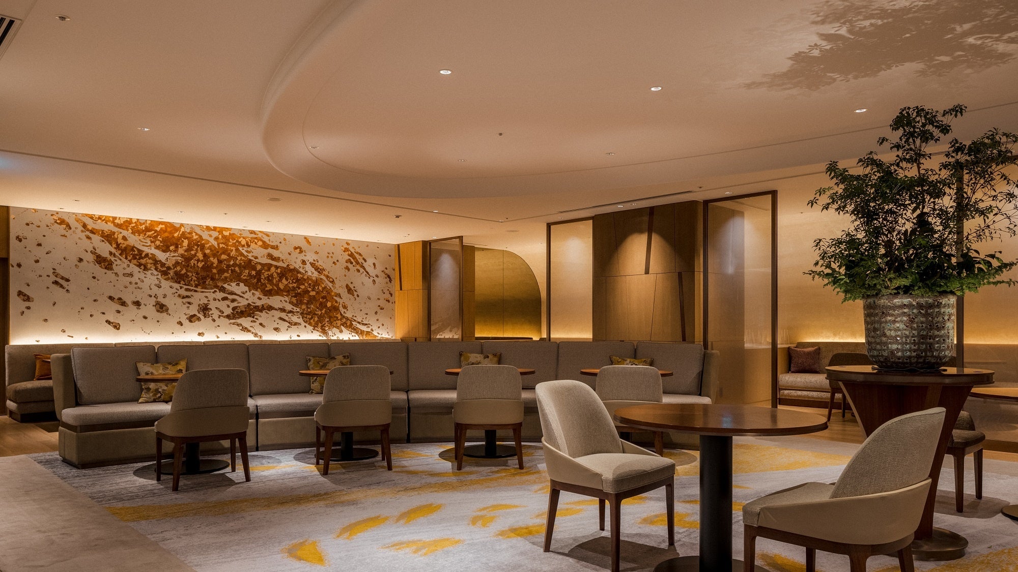 メイフェアイメージ