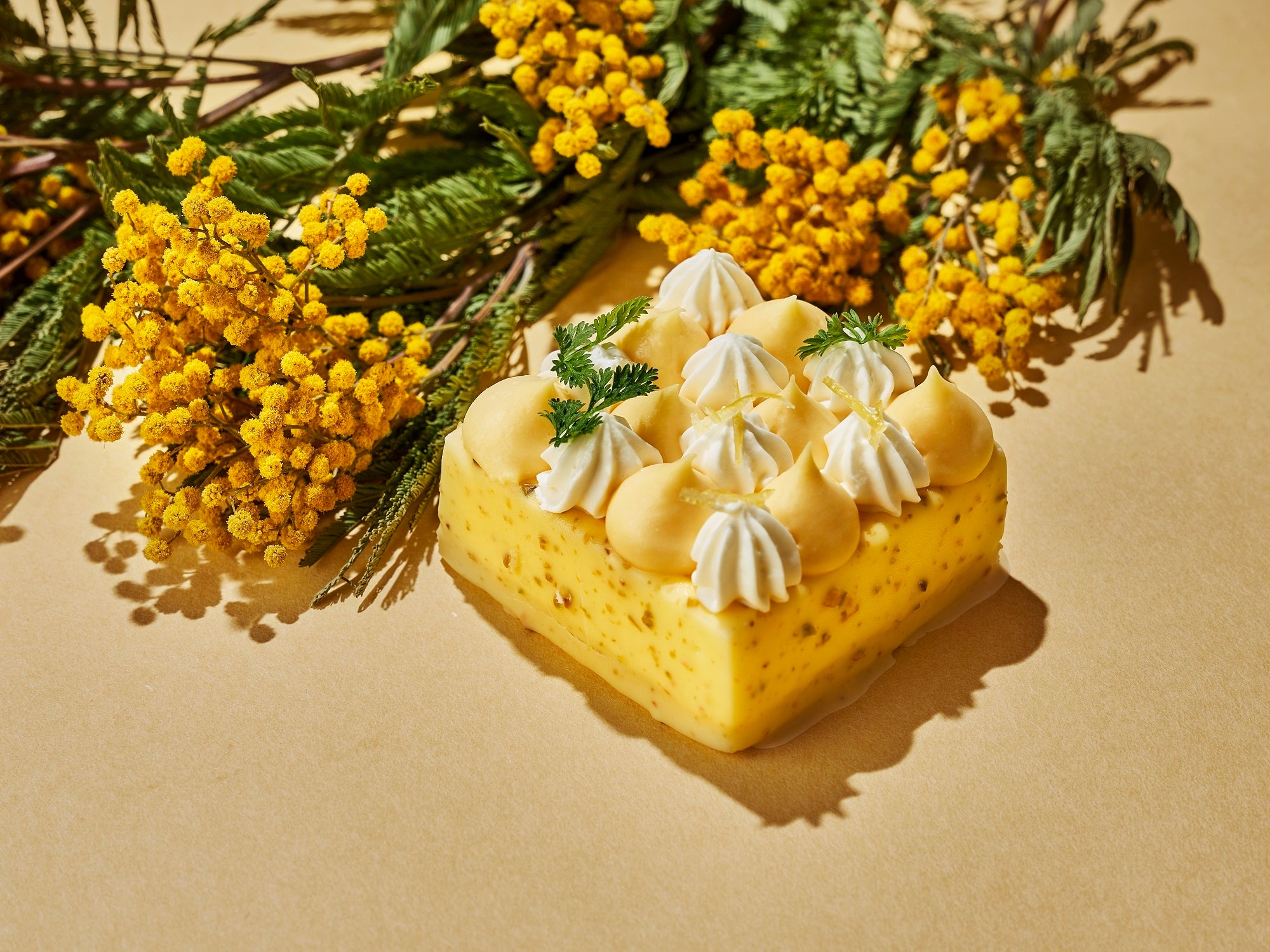 ケーキ「シトラスジュノス」