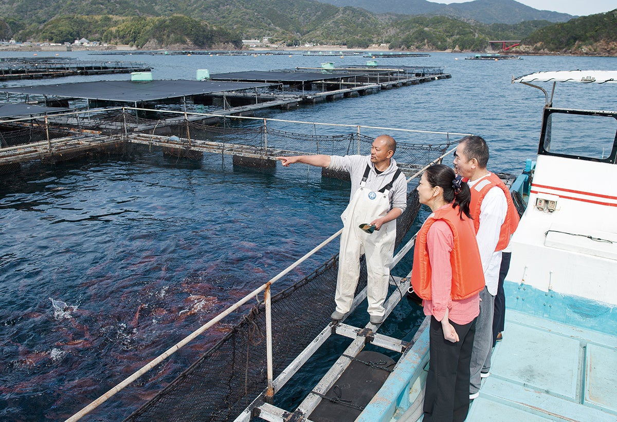 伊勢まだい養殖場を訪ねて