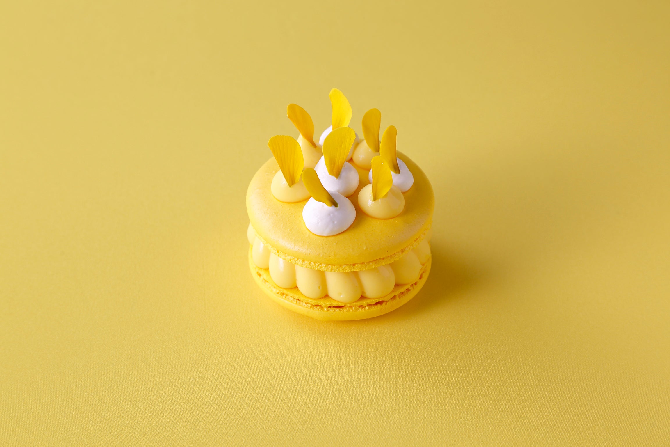 フォルムがかわいいレモンのマカロン