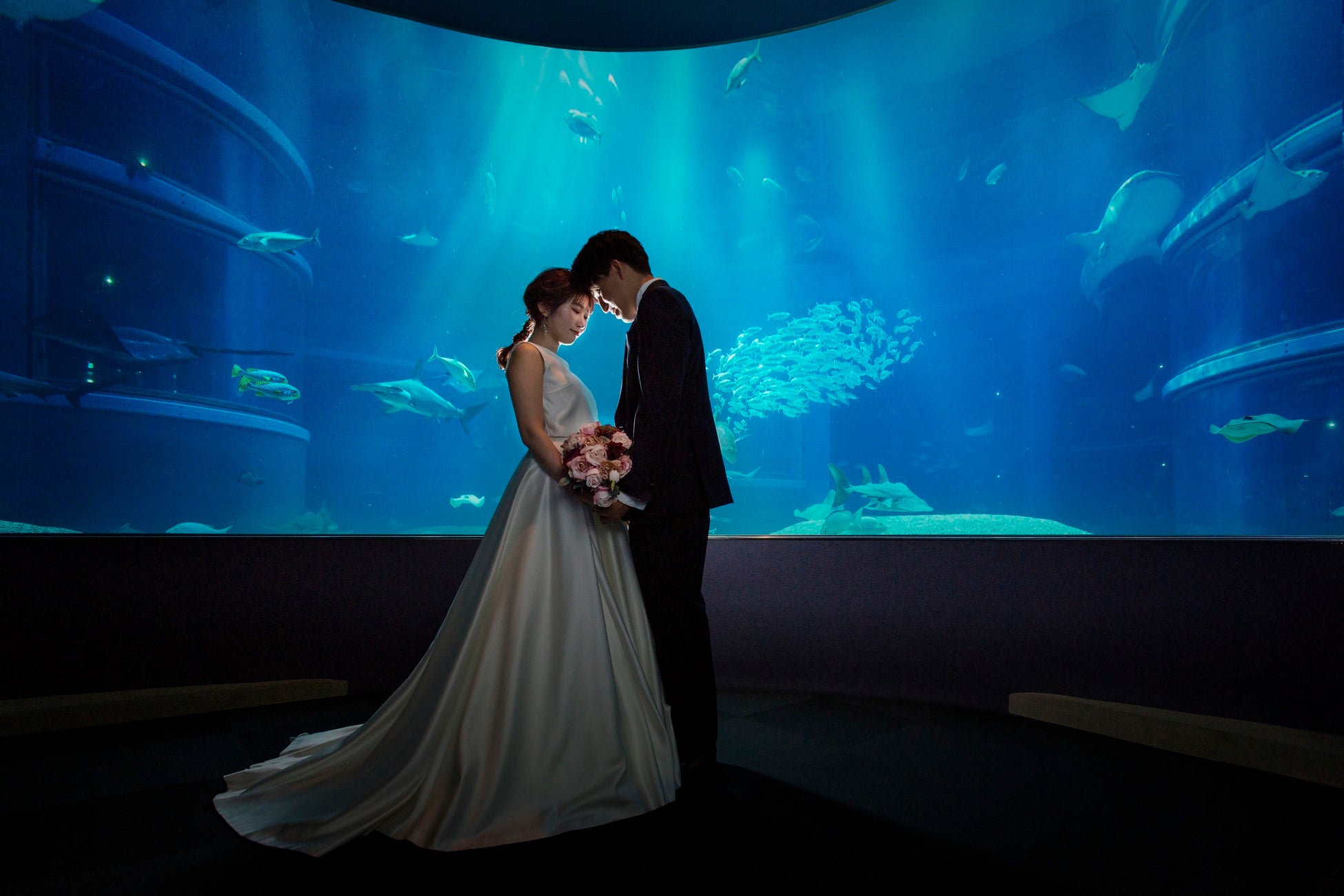 シェラトン都ホテル大阪 海遊館 Nifrel ニフレル フォトウエディングプランの予約を開始します 都ホテルズ リゾーツのプレスリリース シェラトン都ホテル大阪 海遊館 Nifrel ニフレル フォトウエディングプランの予約を開始します 都ホテルズ リゾーツのプレスリリース