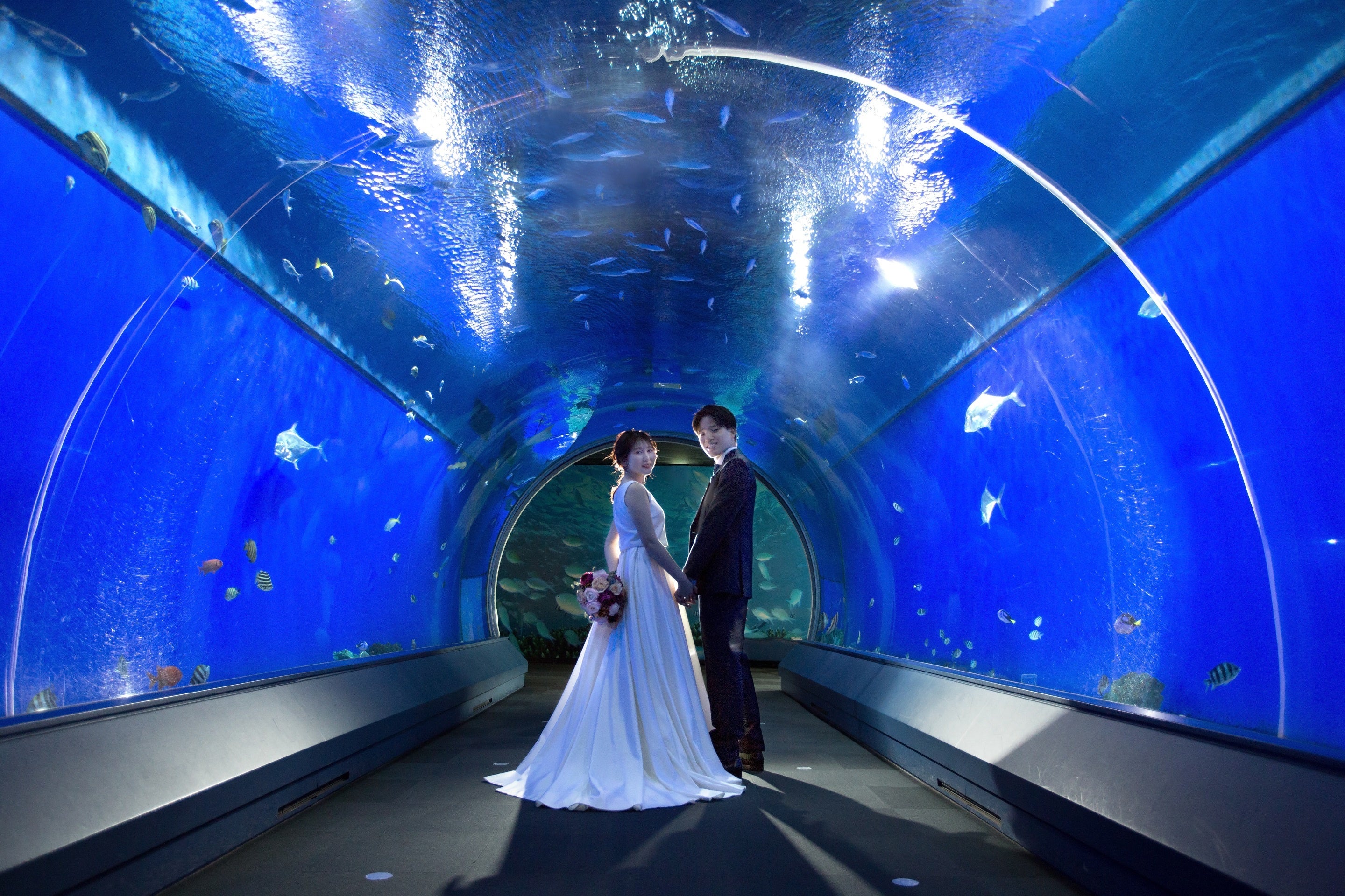 シェラトン都ホテル大阪」×「海遊館＆NIFREL（ニフレル）」フォト