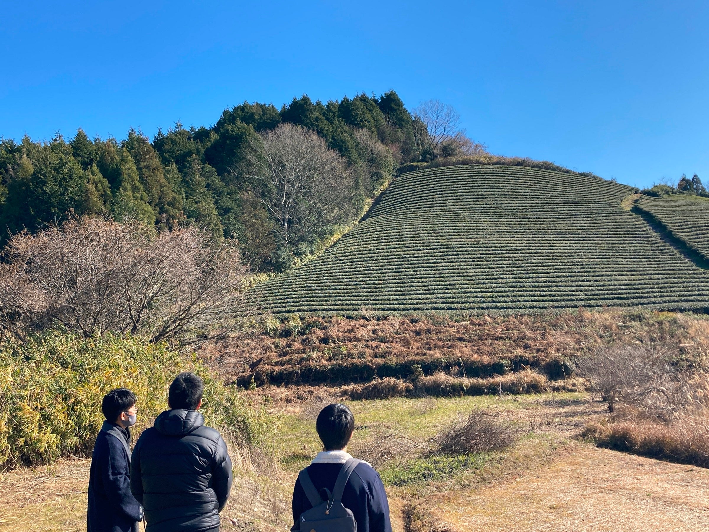 代表伊川健一氏から説明をうける料理長、パティシエ