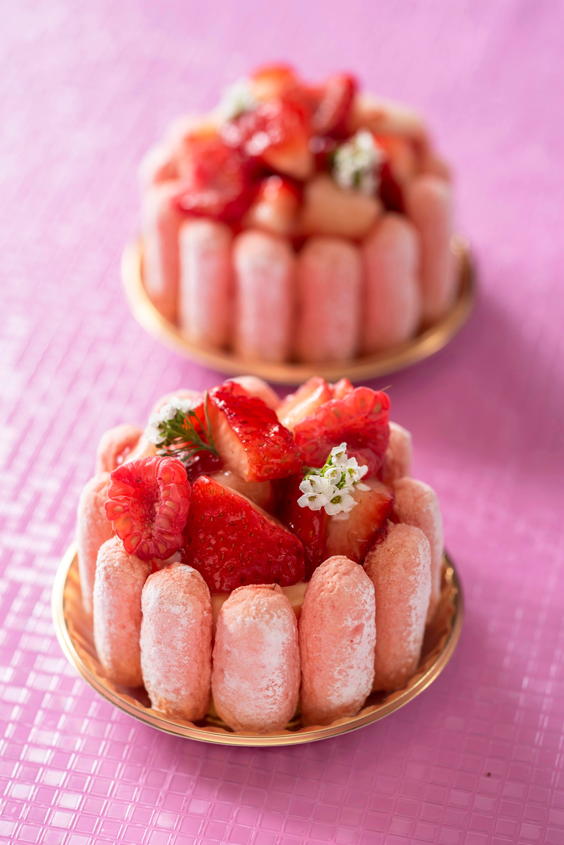 シャルロットフレーズ