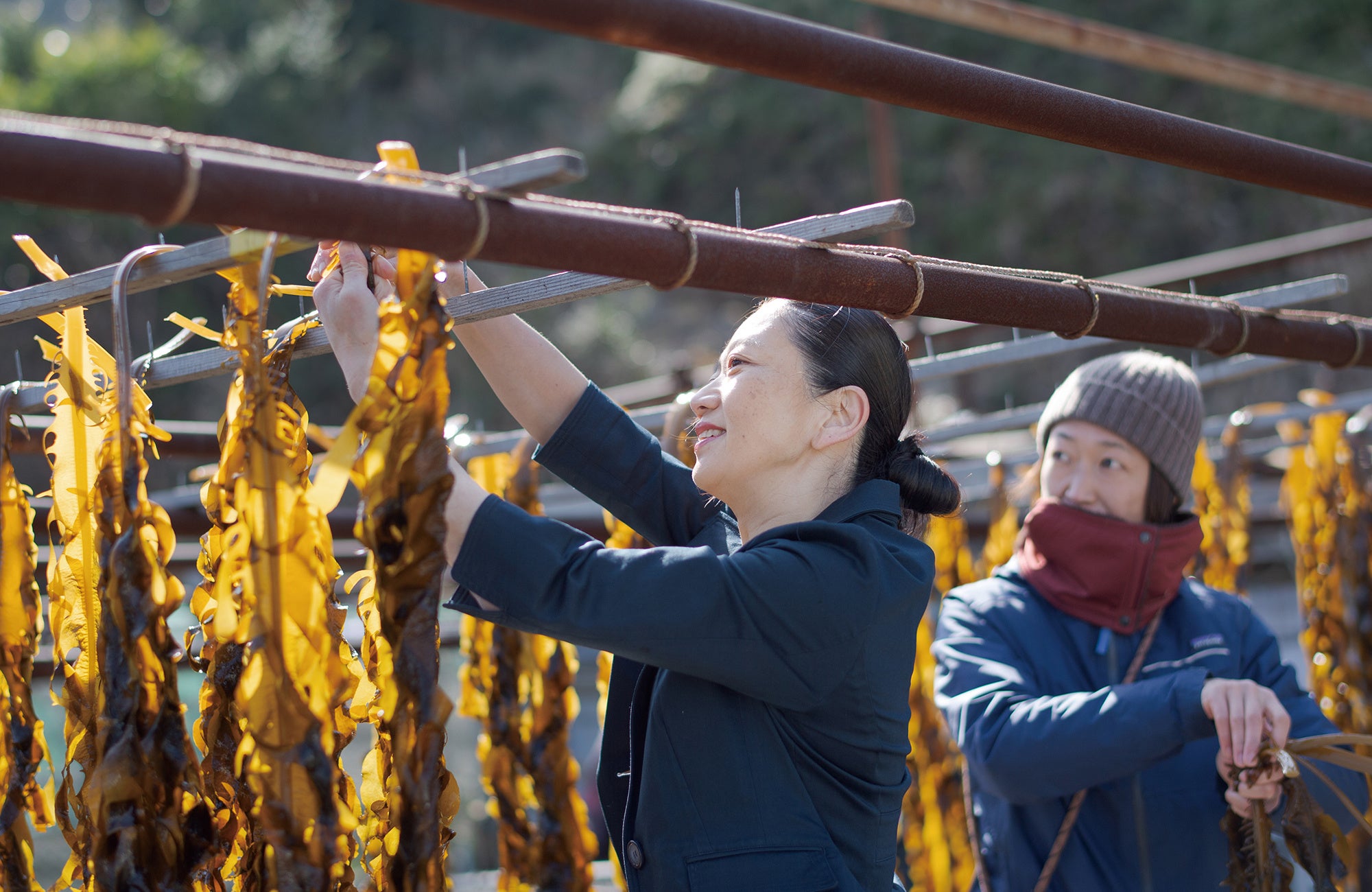 収穫されたワカメの天日干しを手伝う総料理長 樋口宏江