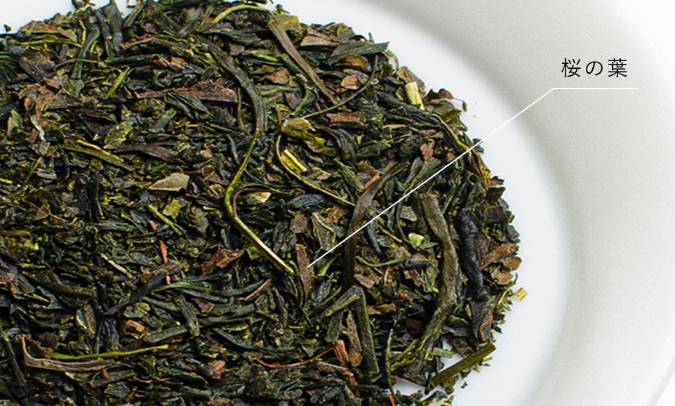 春限定】桜の葉をもみ込んだ「さくらの煎茶」季節限定発売