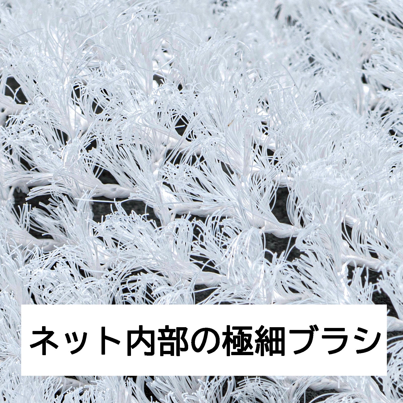 ネット内部の写真